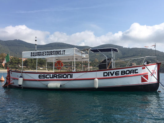Diving all’ Elba: Baiarda Dive Boat Excursions
