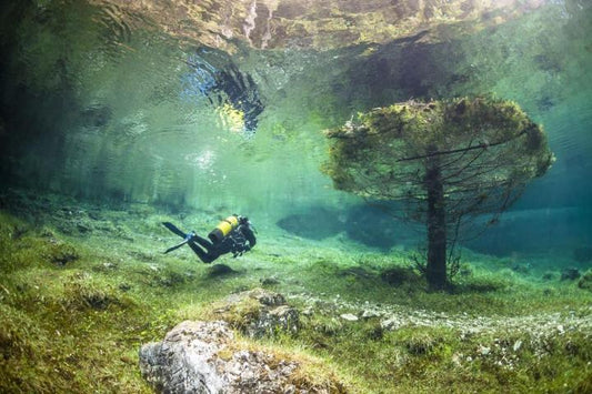 Immersioni in acque fredde