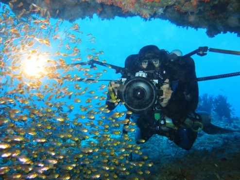Marco Carè: fotografo e cameraman subacqueo professionista
