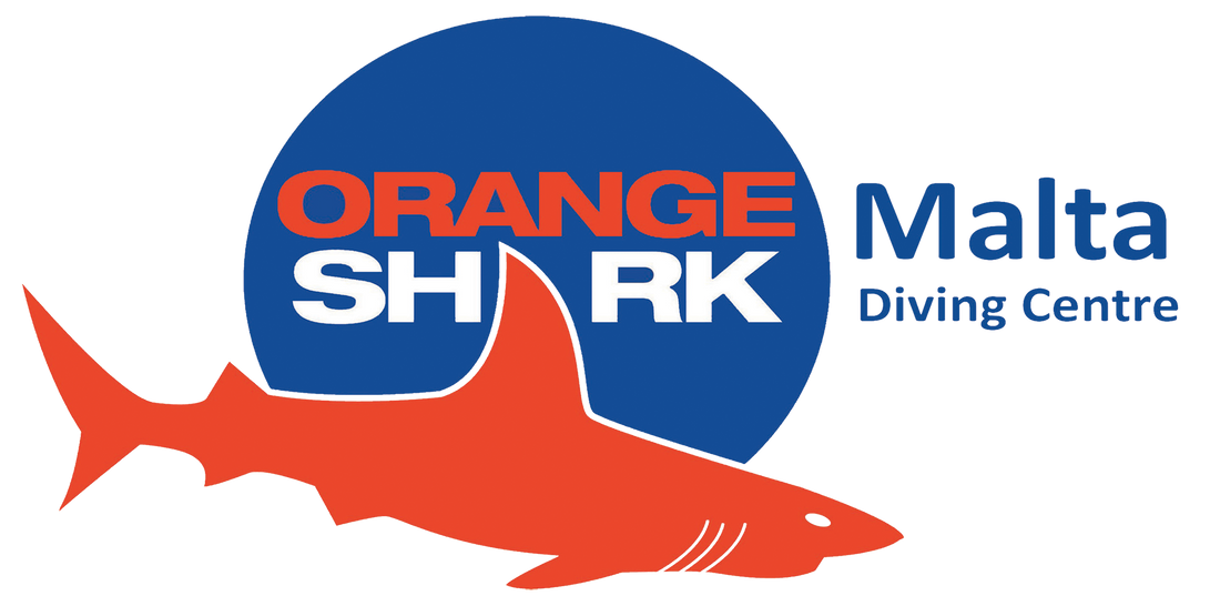 Diving a Malta: Orange Shark