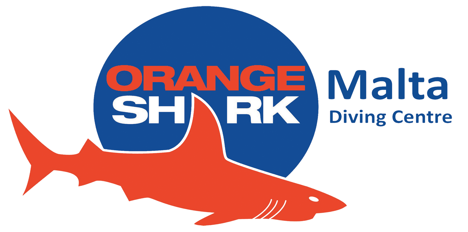 Diving a Malta: Orange Shark