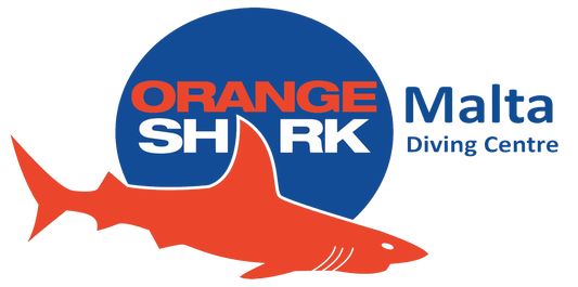 Diving a Malta: Orange Shark