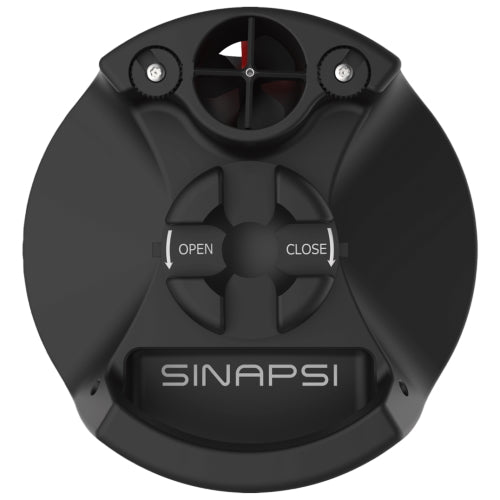Musone Sinapsi