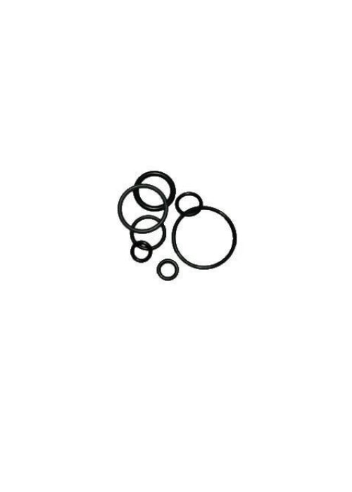 O-ring Kit primo stadio per Argon