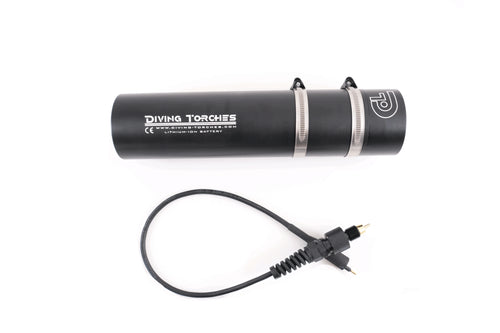 Pacco Batteria 24 Ah