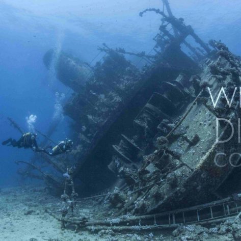 Wreck Diver PADI