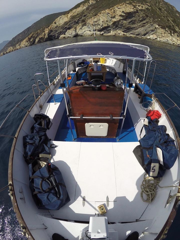Diving Isola d'Elba