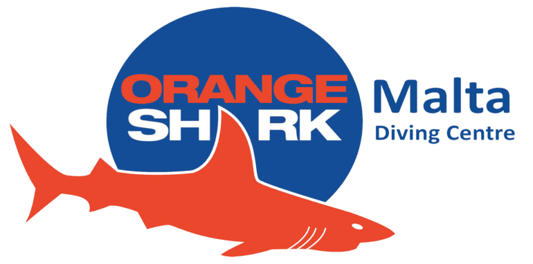 Diving Orange Shark